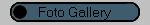 Foto Gallery